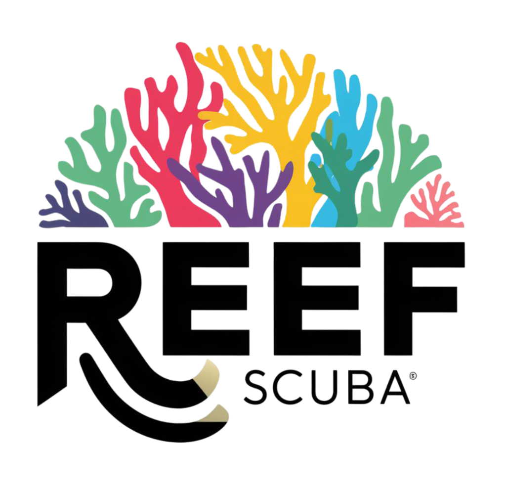 REEF Scuba